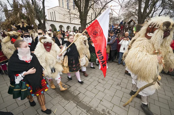 BuSO processie met vlag Rechtenvrije Stockfoto's