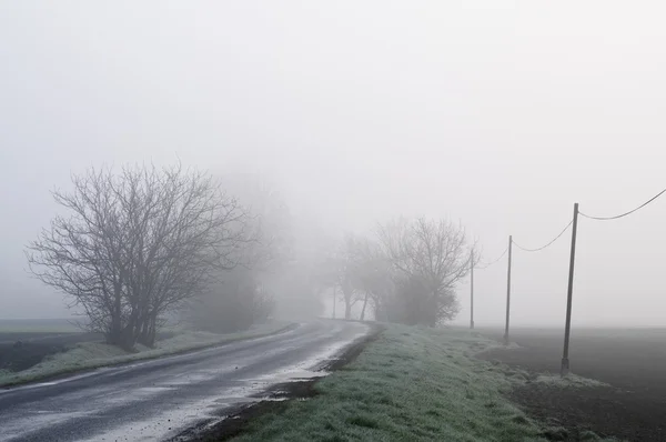 Venkovské silnici na mlhavé ráno — Stock fotografie