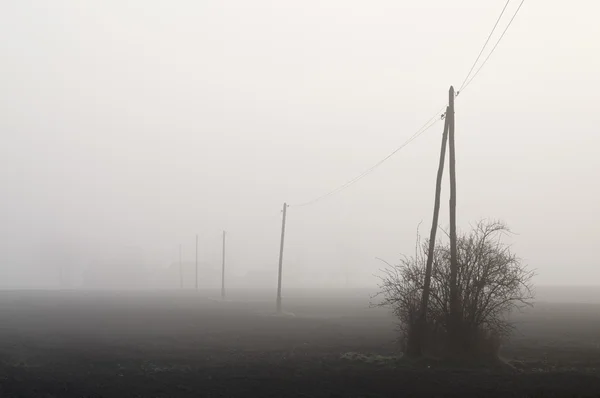 Pylons and fog — Stock Photo, Image