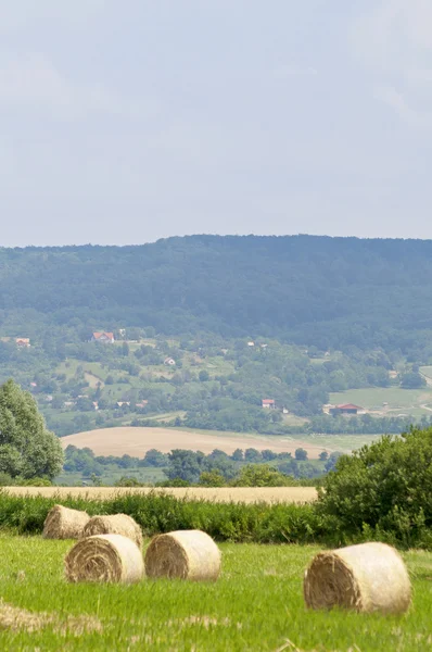 Balíky slámy na léto s hill vertikální — Stock fotografie