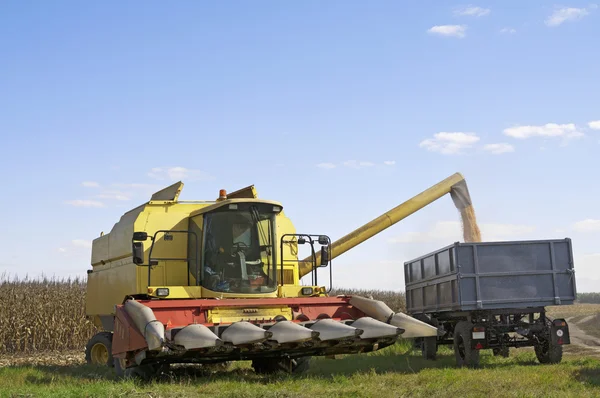 Corn harvester loading trailer — Stock Photo, Image