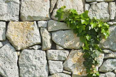 gri moloz taş duvar