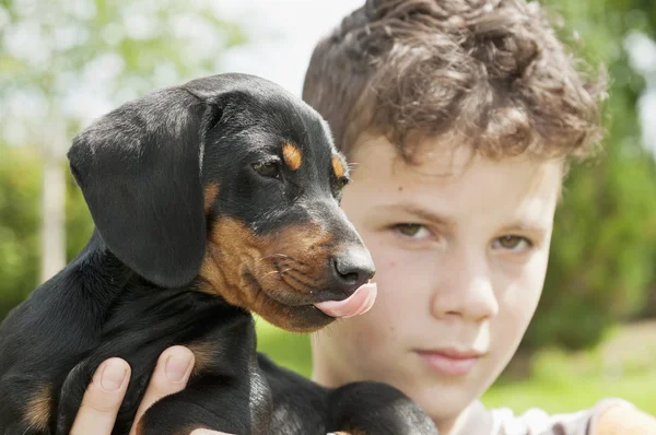 Dachshund cachorro con niño — Foto de Stock