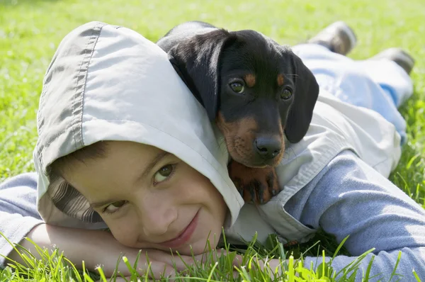Niño y cachorro dachshund —  Fotos de Stock