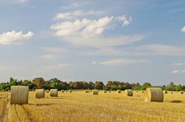 gün batımında saman balya