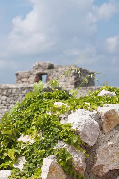 Zříceniny hradu detail — Stock fotografie