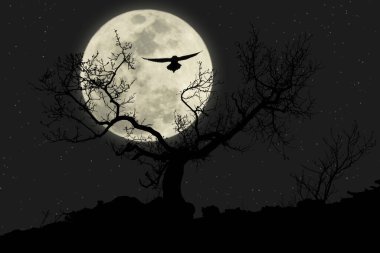 Gece çıplak ağaç ve uçan baykuş silueti. Arka planda büyük ay var.