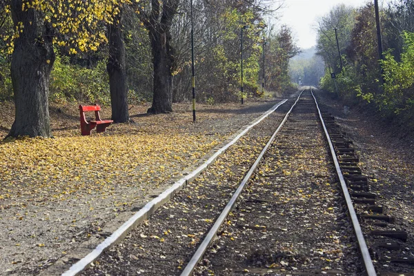 Sonbaharda Küçük Bir Kırsal Tren Istasyonunda Eski Sessiz Sonsuzluk Demiryolları — Stok fotoğraf