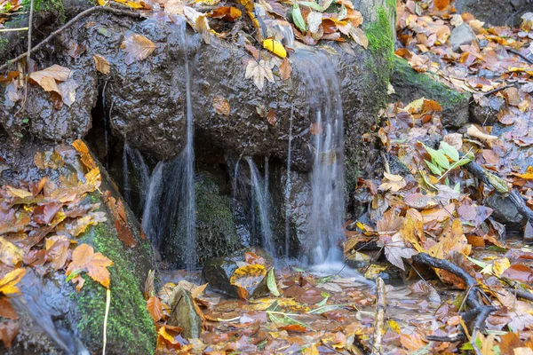 Близкий Снимок Маленького Размытого Водопада Осенью Цветными Листьями — стоковое фото