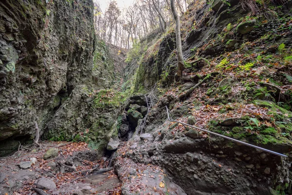 Ram Gorge Fine Autunno Con Enormi Rocce Scalette Domos Ungheria — Foto Stock