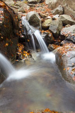 montseny doğal parkında dere