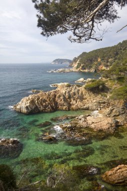 Costa brava koylar