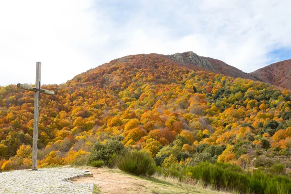 Parque natural del Montseny — Foto de Stock