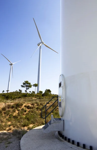 Energía limpia —  Fotos de Stock