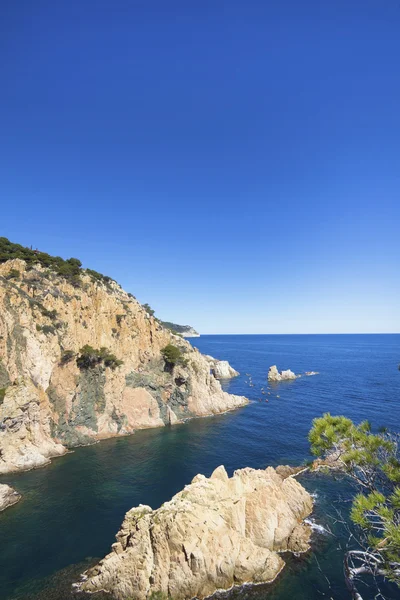 Costa (Costa Brava ) — Foto Stock