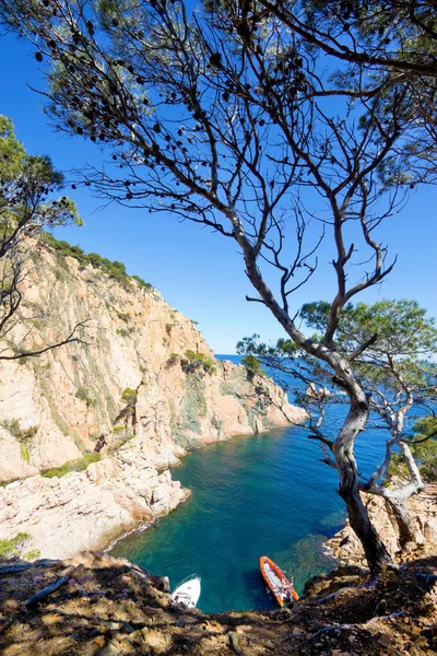 Costa (Costa Brava ) — Foto Stock