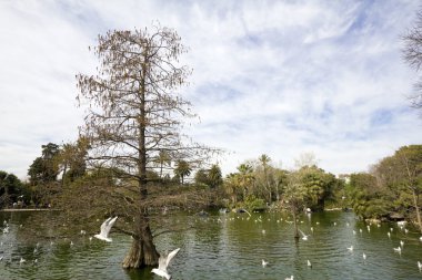 ciutadella Park Lake