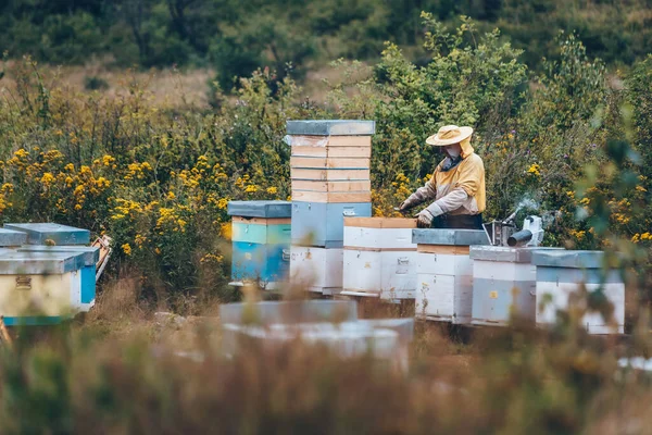 Beekeeper Protective Wear Working His Apiary Beekeeping Concept — Stock Photo, Image