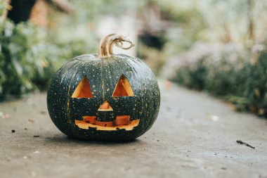 Oyulmuş balkabağına yakın plan. Cadılar Bayramı dekorasyon konsepti