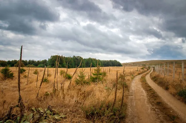 Camino Rural Polvoriento Por Naturaleza Este Serbia —  Fotos de Stock