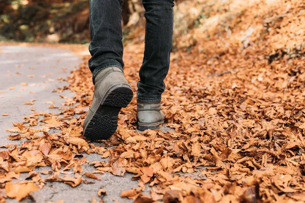Male Winter Boots Walking Fallen Autumn Leaves — Stock Photo, Image