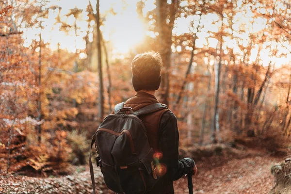 Młody Człowiek Plecakiem Lesie Kolory Jesieni — Zdjęcie stockowe