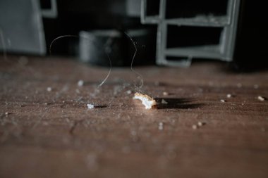 Pile of dirt and dust on the floor. House cleaning concept