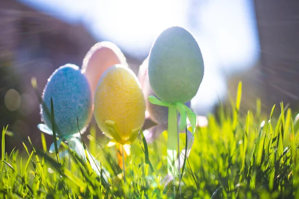 Oeufs Pâques Couleur Moelleuse Dans Herbe Avec Éruption Solaire Concept — Photo