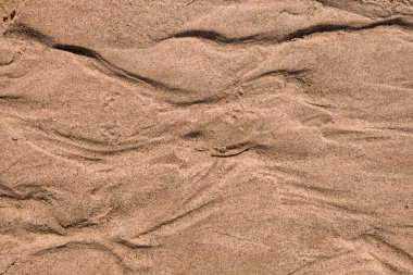 Bir deniz kumu manzarası. Arkaplan, doku, yaz titreşimleri