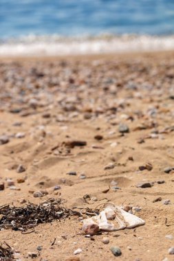 Kumsaldaki kumda kullanılmış yüz maskesi. Covid seyahat