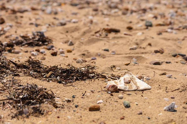 Masque Utilisé Dans Sable Sur Plage Covid Voyager — Photo