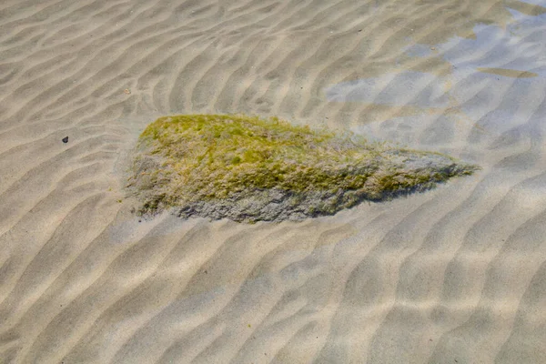 Невелика Поверхня Морської Води Світловим Відображенням Каменем Вкритим Водоростями Під — стокове фото