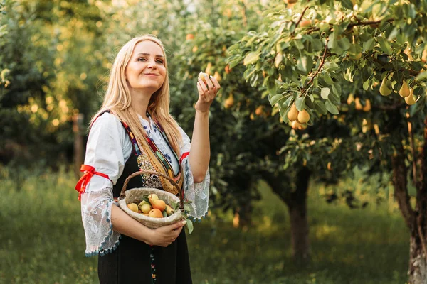 Young Blonde Woman Serbian Traditional Holing Basket Fresh Pears — Stockfoto