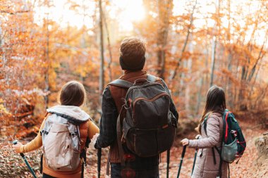 Üç arkadaş grubu, dağcılar, ormanda duruyorlar, gün batımına bakıyorlar.