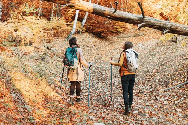 Randonneurs automne Stock Photos, Royalty Free Randonneurs automne