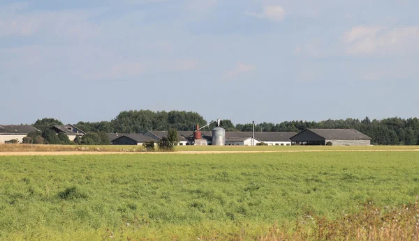 Bauernhof — Stockfoto