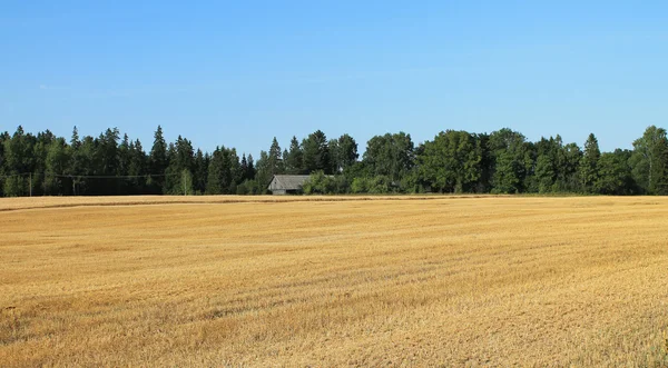 Landschaft — Stockfoto