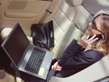 iş kadını ile laptop l