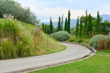 bahçede bir yol