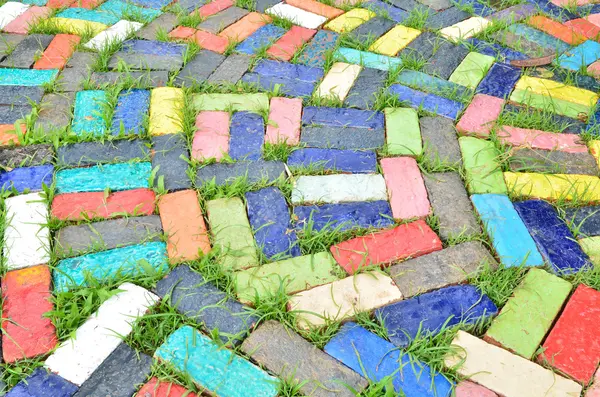 Colorful Brick — Stock Photo, Image