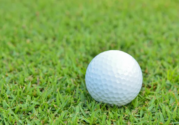 Golf topu güzel derin yeşil çimenlerin üzerinde