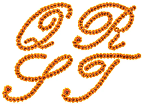 Alphabet Q R S T, Sunflower alphabet isolated on white — Stock Photo, Image