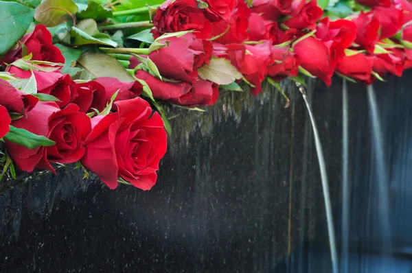 Róża z fontanną — Zdjęcie stockowe