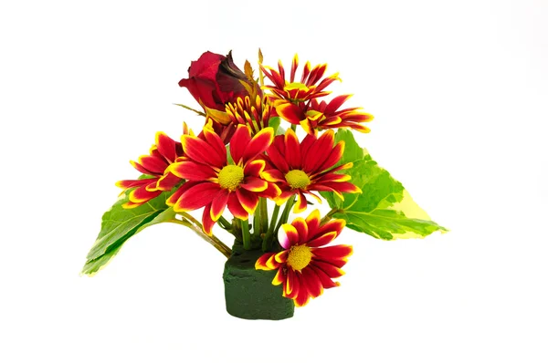 Bouquet red chrysanthemum flower isolated on white — Stock Photo, Image