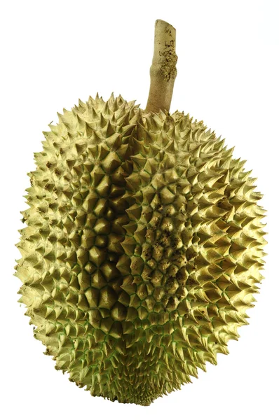 Durian, the king of fruit of South East Asia isolated on white — Stock Photo, Image