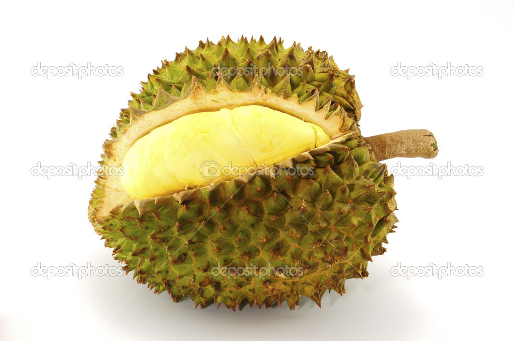 Durian, the king of fruit of South East Asia isolated on white