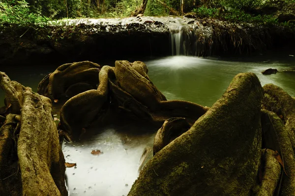 Beautiful deep waterfall — Stock Photo, Image