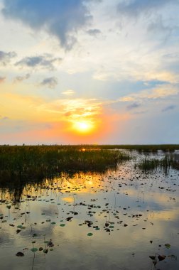 Nehirde gün batımı