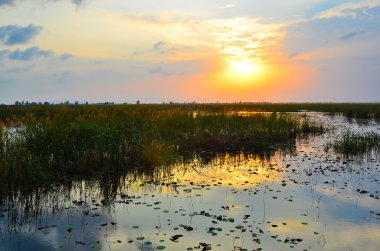 Nehirde gün batımı