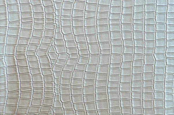 Gümüş timsah deri — Stok fotoğraf